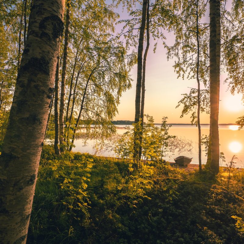 [23.06.16] Elämä “フィンランドから学ぶ豊かで幸せな生き方”